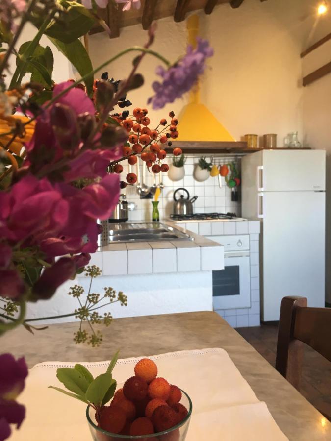 Villa San Regolino Whit Private Pool Radicondoli エクステリア 写真
